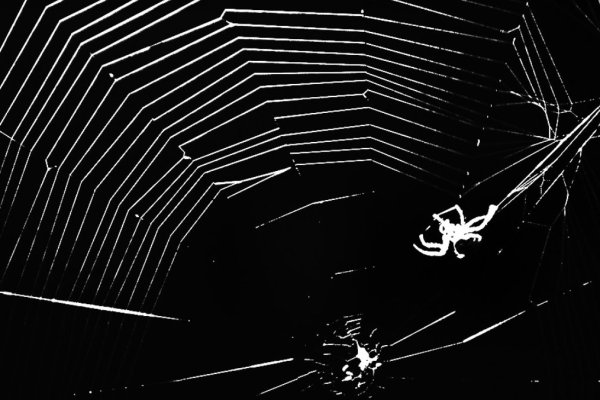 Маркетплейс кракен kraken darknet top