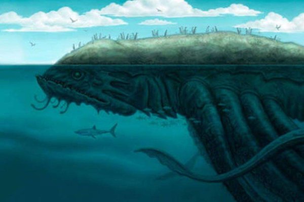 Kraken актуальное