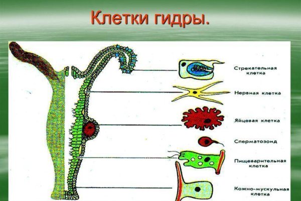 Karken