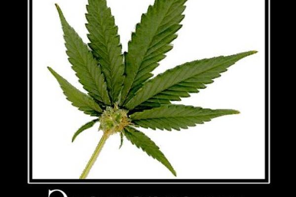 Kraken darknet onion